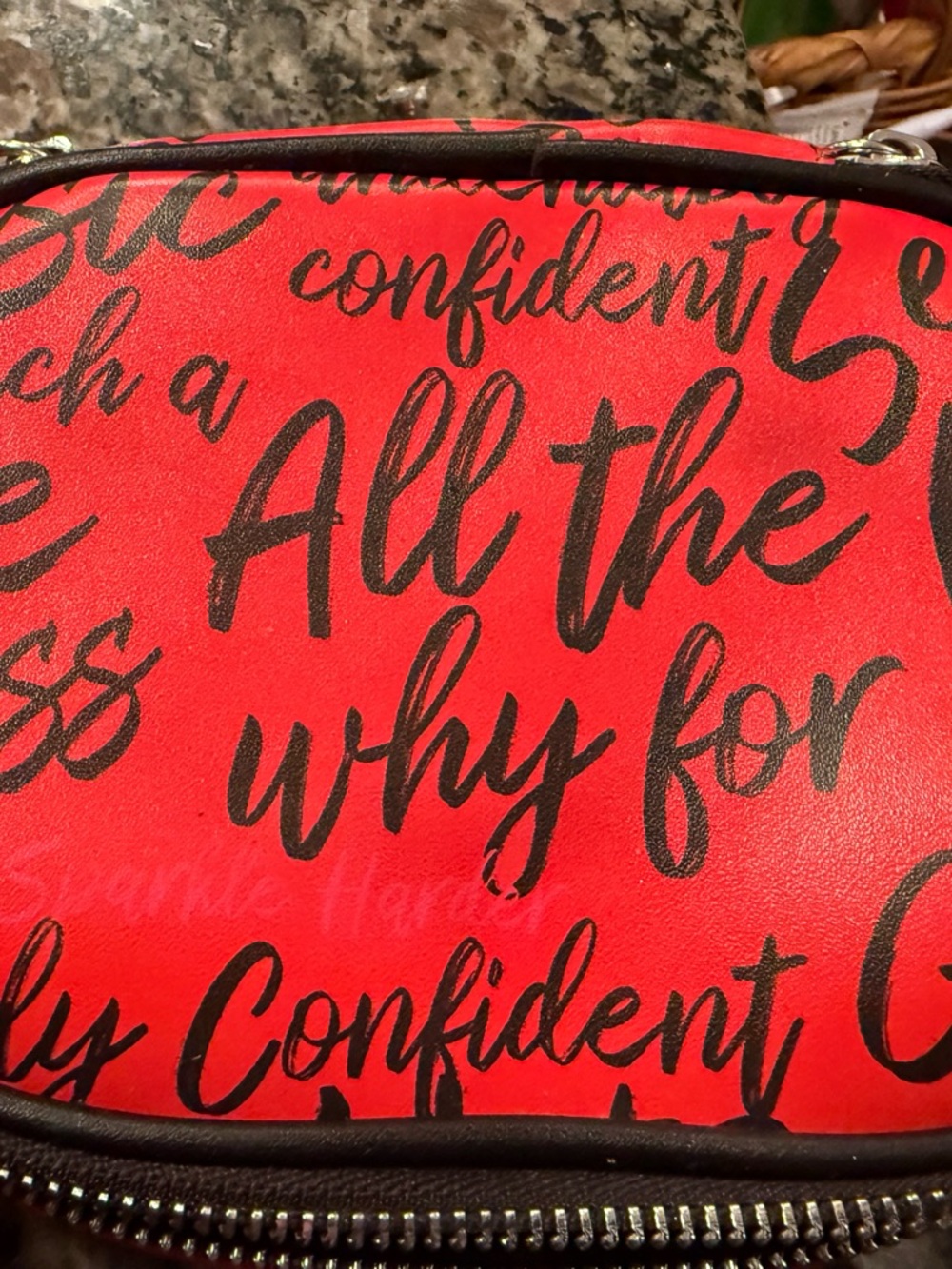 Sassy Jones Red Script Cosmetic Case with Metal Logo - Picture 5 of 11